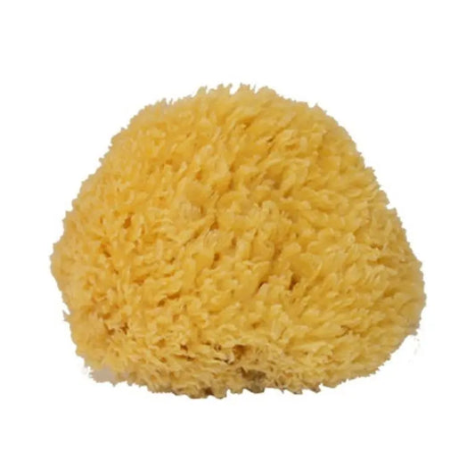 Mediterranean Sponge Small