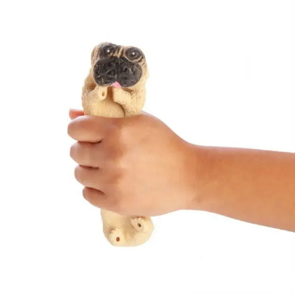 Fidget Toys
