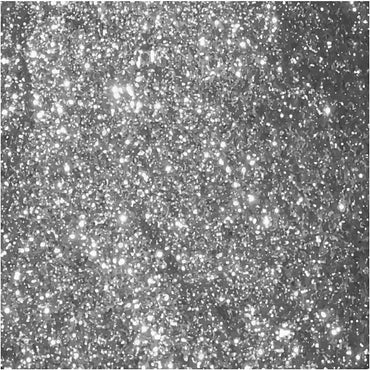 Glitter Silver 6x5 g