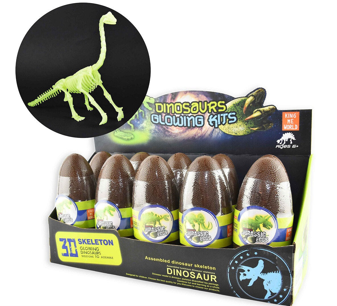 Dino skeleton in egg glow in the dark –