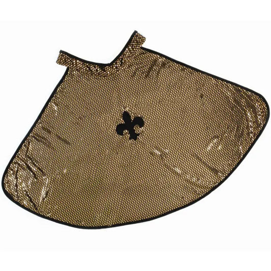 Barn riddare utklädnad guld