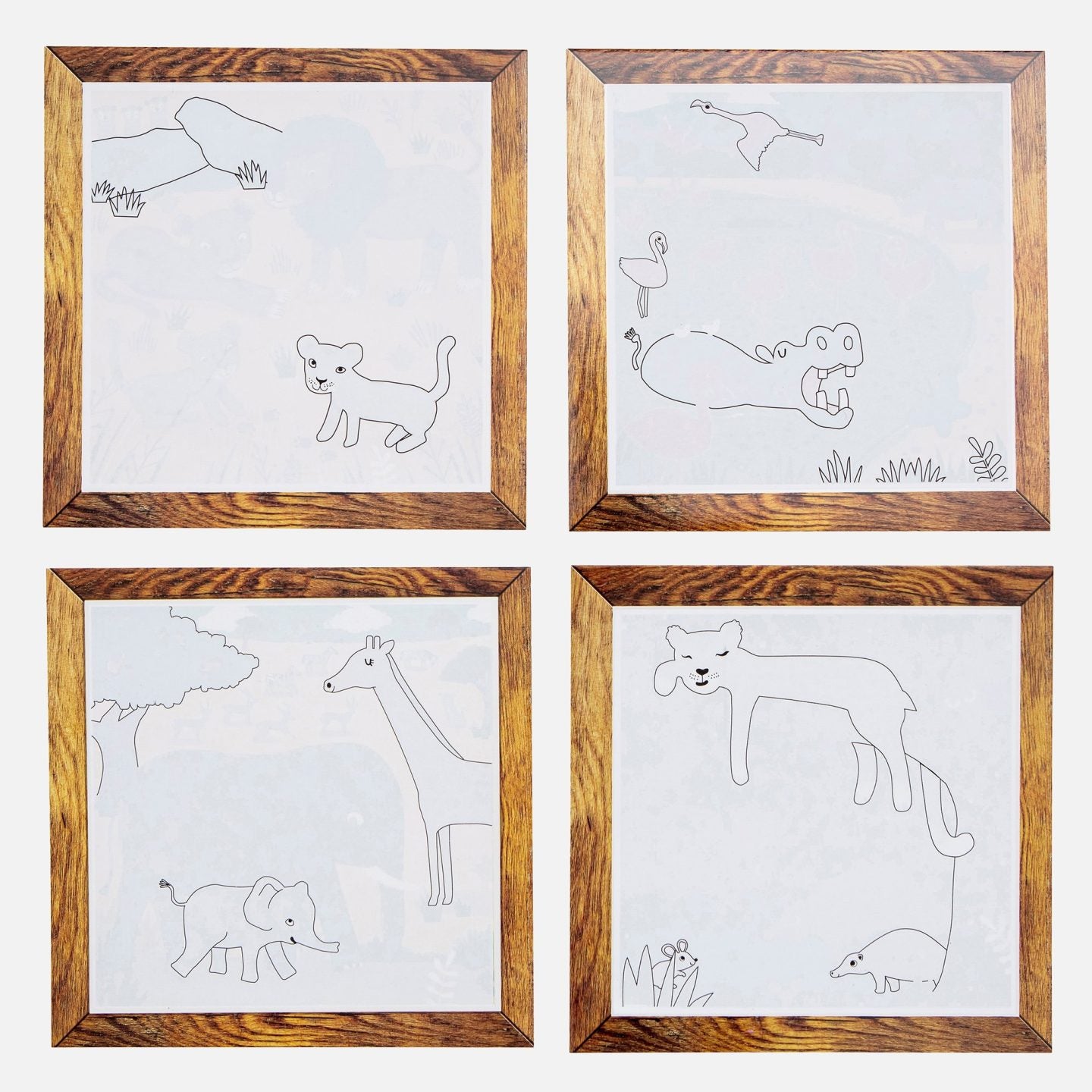 Magic Painting World – Safari Adventures