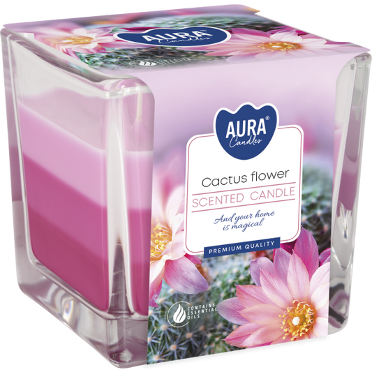 Rainbow Jar Candle - Cactus flower