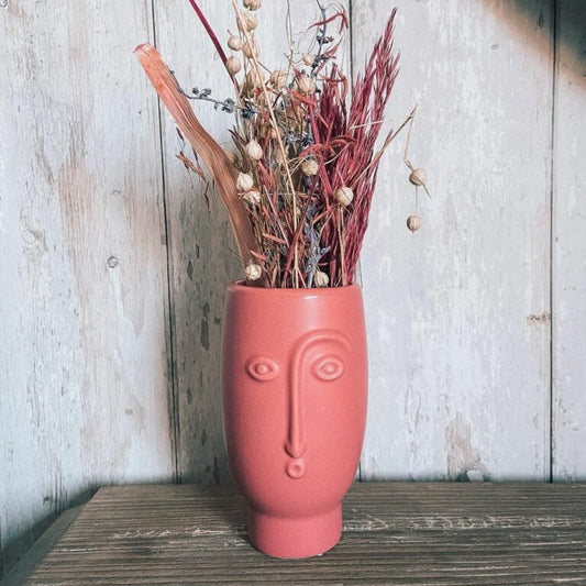 Sass & Belle mini ansiktsvas röd