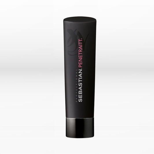sebastian professional penetraitt shampoo