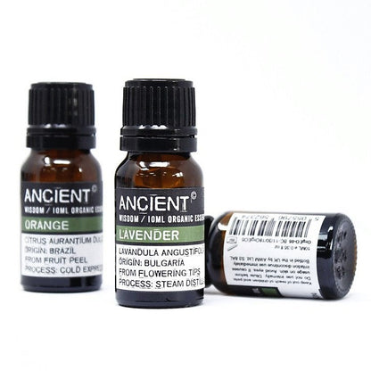 112149 Ekologiska Eteriska Oljor för Aromaterapi 10 ml - Ancient Wisdom