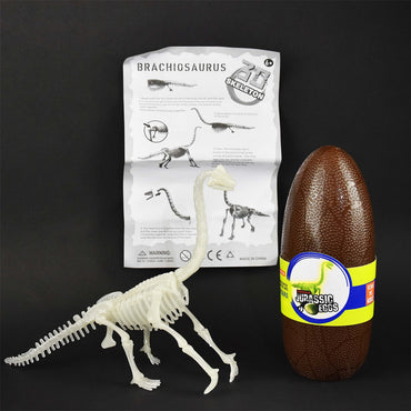 Dino skeleton in egg glow in the dark