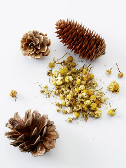 Hair&Body 3-in-1 Chamomile + Pine 450.0 ML - Bad & dusch