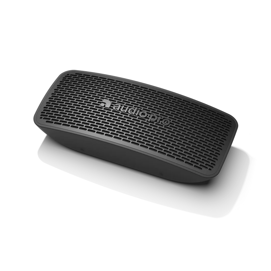 Högtalare Audio Pro P5