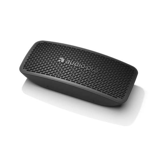 Speakers Audio Pro P5
