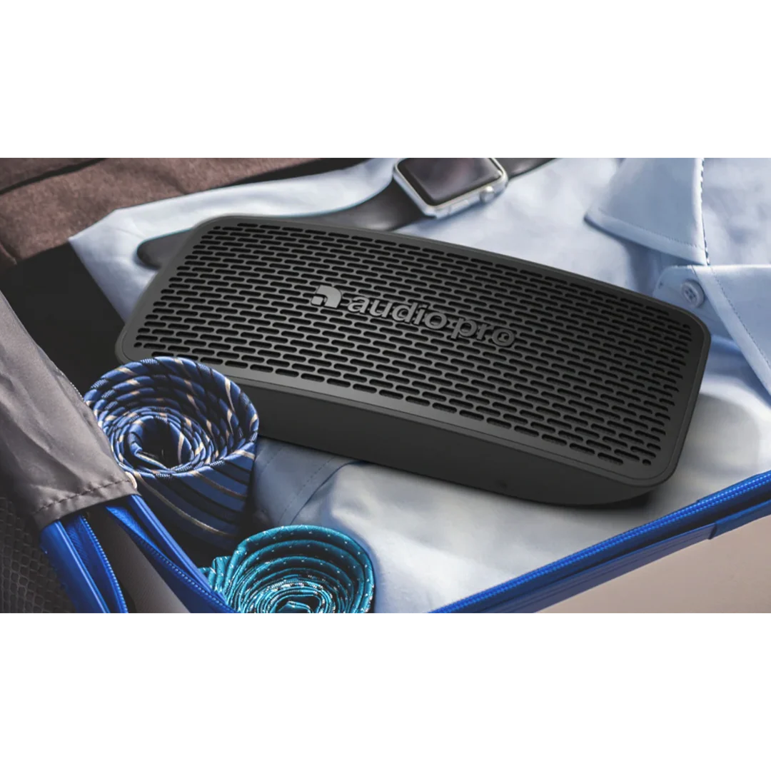 Högtalare Audio Pro P5