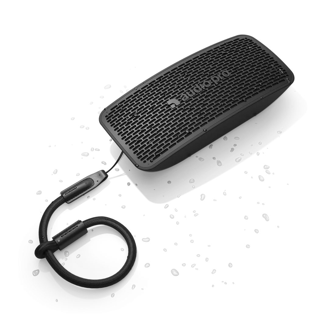 Högtalare Audio Pro P5