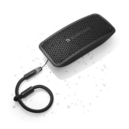 Högtalare Audio Pro P5