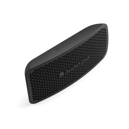 Högtalare Audio Pro P5