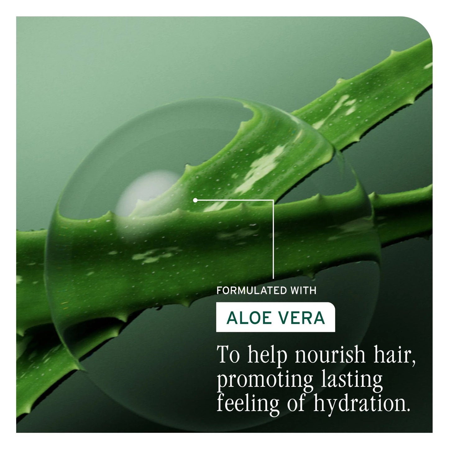 Matrix Biolage  Hydra Source Conditioner 236 ml
