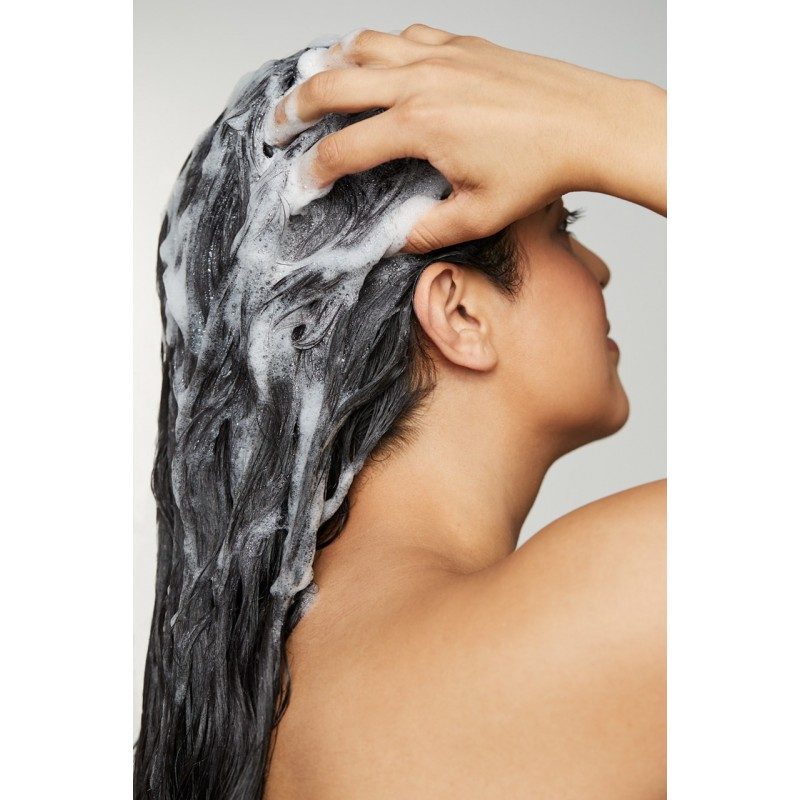 Paul Mitchell Awapuhi Wild Ginger Hydrate Hydrasoft Shampoo 250ml