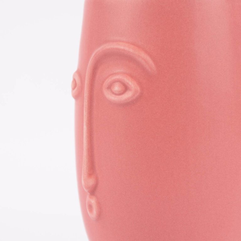 Sass & Belle mini ansiktsvas röd