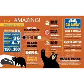 113757 Madd Capp Pussel Kontur I Am Bear 300 bitar3