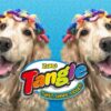 Zuru Tangle® Creation Jr Metallic